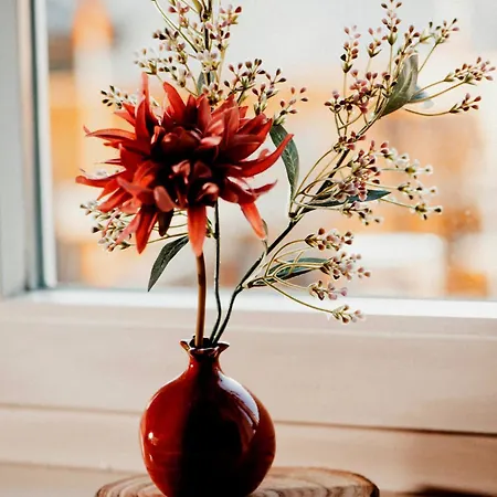 Boutique In Direkt An Der Mosel Apartment *
