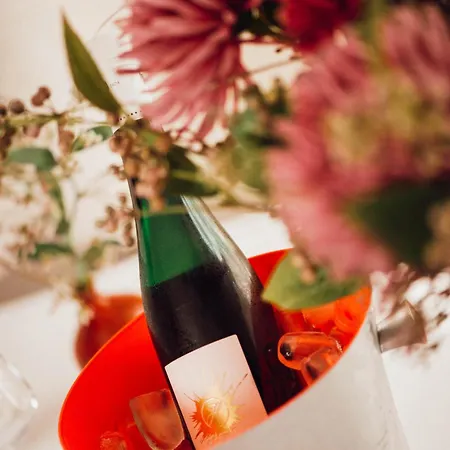 Apartment Boutique In Direkt An Der Mosel *