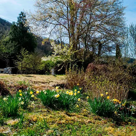 Apartment Boutique In Direkt An Der Mosel