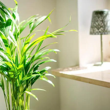 Boutique In Direkt An Der Mosel Apartmán *