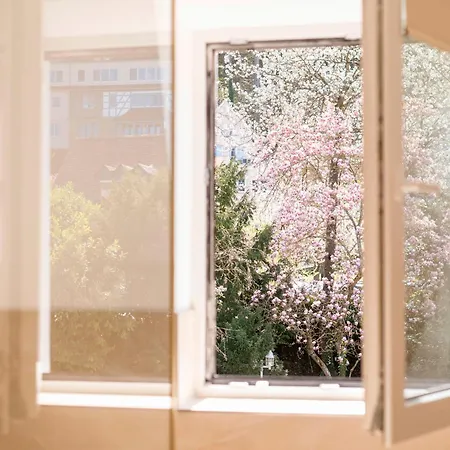 Boutique In Direkt An Der Mosel Apartment *