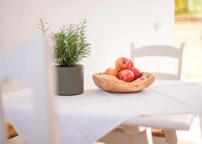 Boutique In Direkt An Der Mosel * 布罗登巴赫