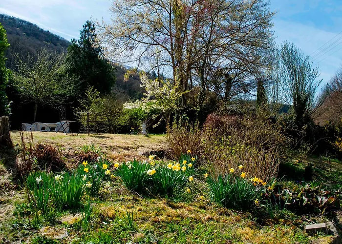 公寓 Boutique In Direkt An Der Mosel