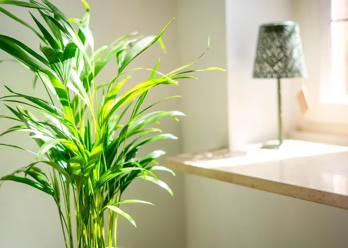 Boutique In Direkt An Der Mosel アパート *